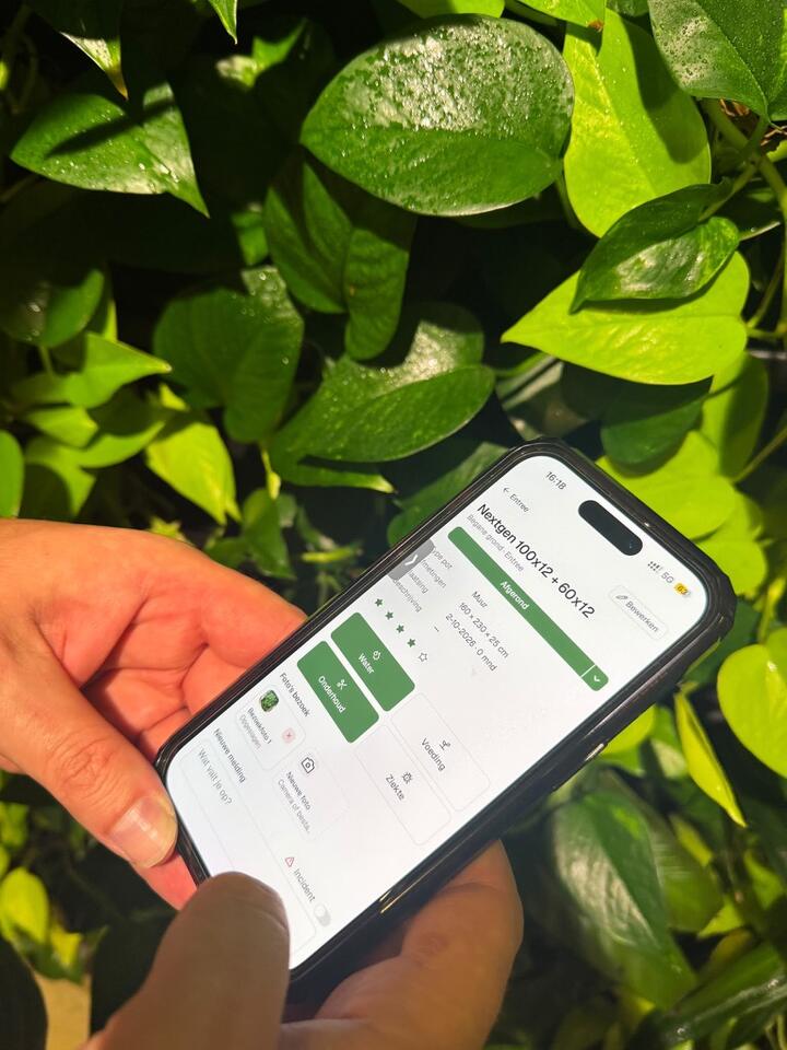 Easyculti in gebruik op een telefoon, voor een wand vol planten